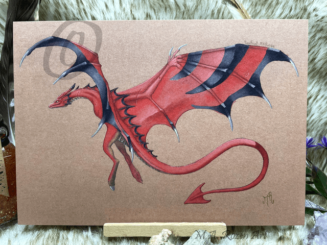 Wyvern des chevaliers 15X21cm