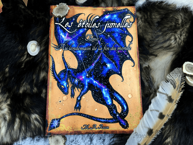 Les étoiles jumelles Roman 1