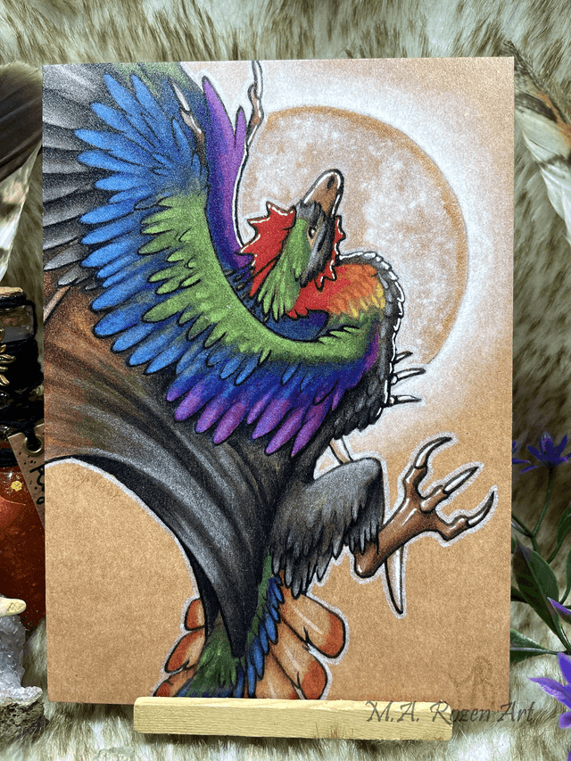 Cockatrix resplendissante 13X18cm