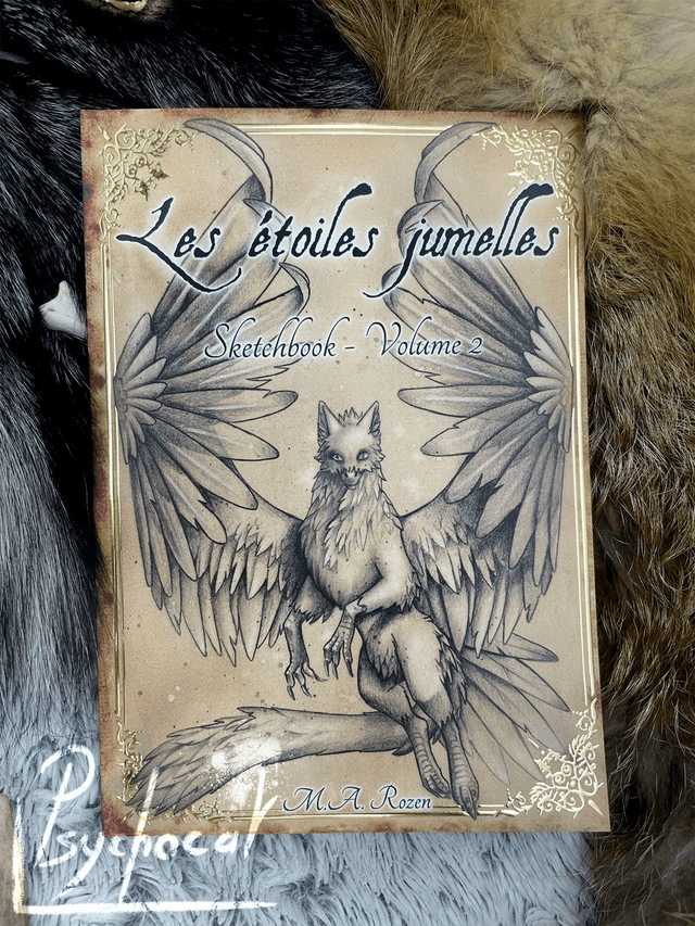 Les étoiles jumelles Sketchbook 2