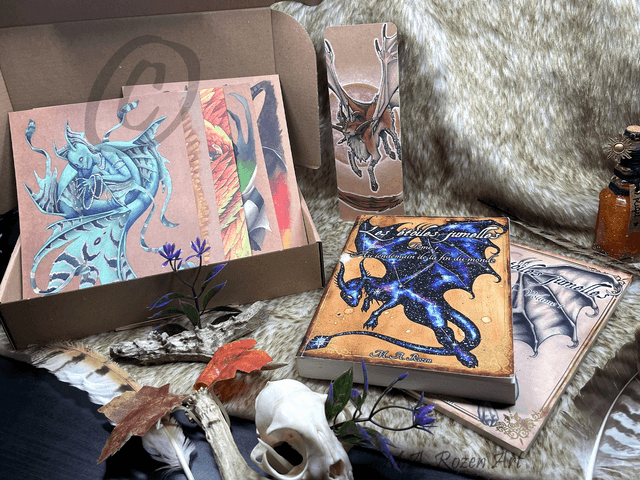 Box de Noël - Livres