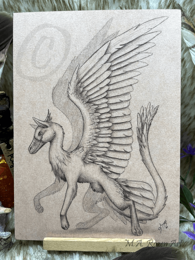 Opinicus Croquis 13X18cm