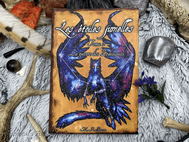 Les étoiles jumelles Roman 2