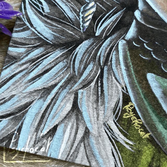 Amphitrite Original