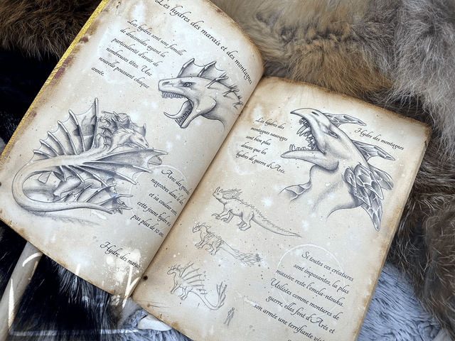 Les étoiles jumelles Sketchbook 2