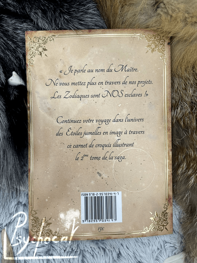 Les étoiles jumelles Sketchbook 2