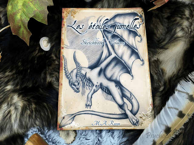 Les étoiles jumelles Sketchbook 1