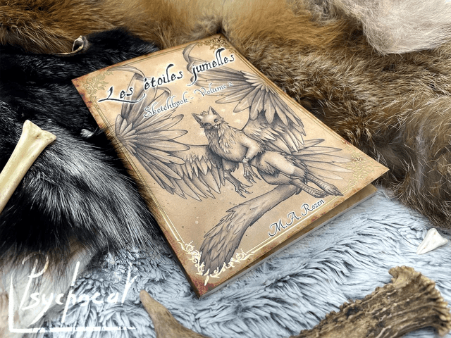 Les étoiles jumelles Sketchbook 2