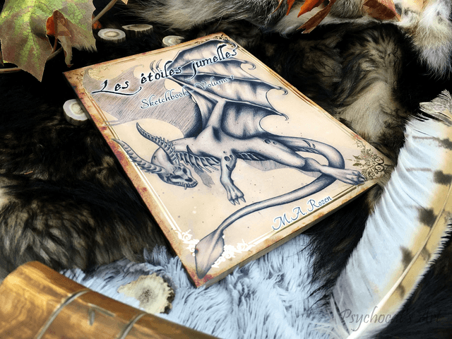 Les étoiles jumelles Sketchbook 1